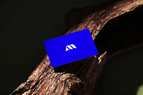 Free Business Card Mockup Wedged In Tree Bark — Dark Moody Outdoor (PSD) mockup preview