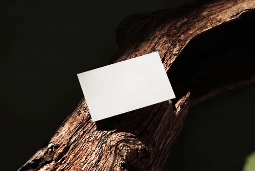 Free Business Card Mockup Wedged In Tree Bark — Dark Moody Outdoor (PSD) alternate mockup preview